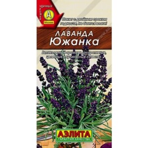 Лаванда Южанка (Аэлита)