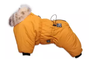 Комбинезон для собак Lion Nice-Style KLPK133 на мальчика, цвет: горчичный Размер M (спинка 31 см, обхват шеи 22-29 см, обхват груди 34-42 см)